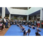 Expo Proyectos y Emprendimientos Empresariales 2017